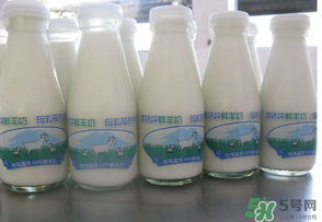 鮮羊奶可以直接喝嗎？鮮羊奶怎么喝最好？