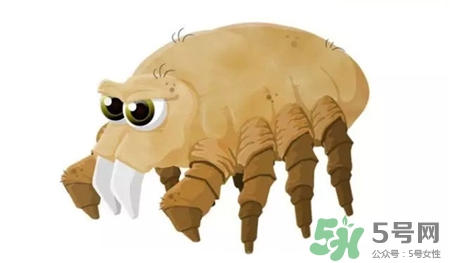 螨蟲可以用硫磺皂嗎?硫磺皂可以去螨蟲嗎? 螨蟲可以用硫磺皂嗎?硫磺皂可以去螨蟲嗎?