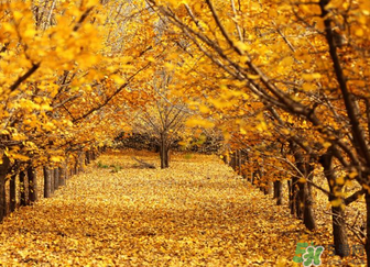 ?冬天空調(diào)開多少度合適？冬天空調(diào)制熱多少度合適？