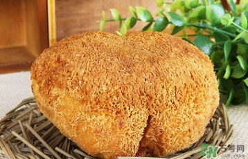 猴頭菇怎么吃？猴頭菇的功效與作用