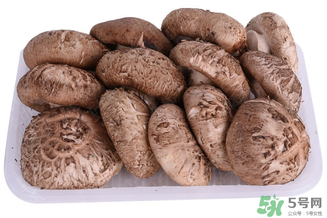 鮮香菇可以放冰箱嗎？鮮香菇可以冷凍嗎？