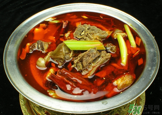 狗肉不能和什么一起吃？狗肉和什么相克？