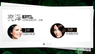 施華蔻染發(fā)劑哪個顏色好看？施華蔻染發(fā)劑色號圖