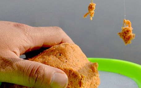 青魚怎么釣？釣青魚用什么餌料最好？