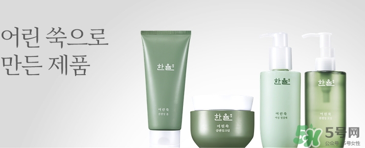 韓律艾草洗面奶多少錢？韓律艾草洗面奶專柜價格