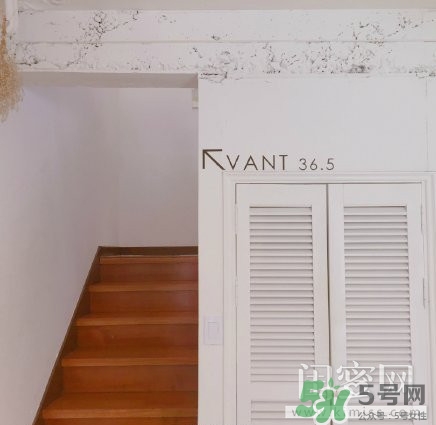 vant氣墊粉底霜怎么樣？vant36.5粉霜粉膏好用嗎？