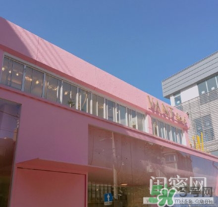 vant氣墊粉底霜怎么樣？vant36.5粉霜粉膏好用嗎？