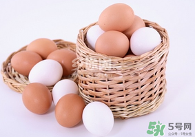 笨雞蛋多少錢一斤？笨雞蛋多少錢一個？