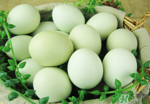 綠殼雞蛋多少錢一個？綠殼雞蛋多少錢一斤？