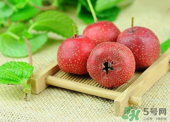 新鮮山楂什么時候上市？新鮮山楂什么時候成熟？