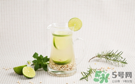 檸檬水可以用熱水泡嗎？檸檬水用涼水泡還是熱水泡？