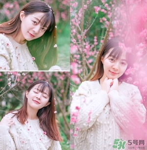 伊諾姿櫻花氣墊多少錢？伊諾姿櫻花氣墊價(jià)格