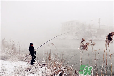 冬天能釣魚嗎？冬天適合釣魚嗎？