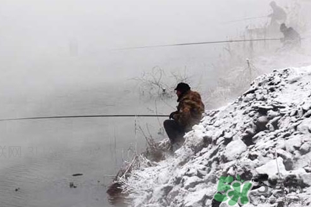 冬天能釣魚嗎？冬天適合釣魚嗎？