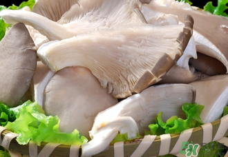 平菇不能和什么一起吃？平菇不能與什么同食？