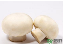 口菇變黑還能吃嗎？口菇的營養(yǎng)價值