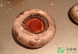 口菇變黑還能吃嗎？口菇的營養(yǎng)價值