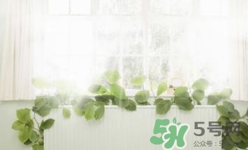 開(kāi)暖氣可以除濕嗎?開(kāi)暖氣能除甲醛嗎? 開(kāi)暖氣可以除濕嗎?開(kāi)暖氣能除甲醛嗎?