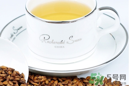 喝大麥茶可以減肥嗎？飲用大麥茶也能減肥