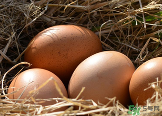 雞蛋可以帶上動車嗎？雞蛋可以帶上高鐵嗎？