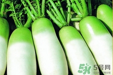 冬天御寒吃蘿卜有用嗎？御寒養(yǎng)生不妨多吃蘿卜