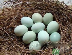 綠皮雞蛋是怎么回事？綠皮雞蛋的營(yíng)養(yǎng)價(jià)值