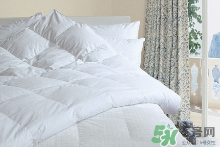 冬天蓋什么被子最暖和？冬天蓋什么被子最好？