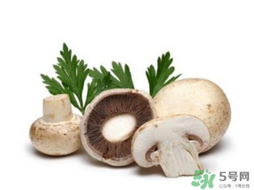 草菇怎么保存？新鮮草菇怎么保存？