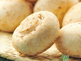 草菇怎么保存？新鮮草菇怎么保存？