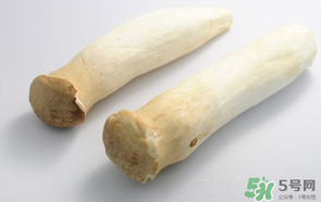 雞腿菇長(zhǎng)白毛能吃嗎？雞腿菇怎么做好吃？