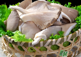 蘑菇可以放冰箱嗎？蘑菇放冰箱長毛了能吃嘛？