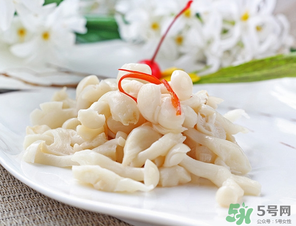 白玉菇孕婦能吃嗎？孕婦可以吃白玉菇嗎？