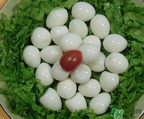 鵪鶉蛋一天吃幾個合適？鵪鶉蛋一天最多吃幾個？
