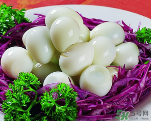 鵪鶉蛋一天吃幾個合適？鵪鶉蛋一天最多吃幾個？