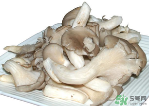 平菇怎么保存？平菇能放幾天？