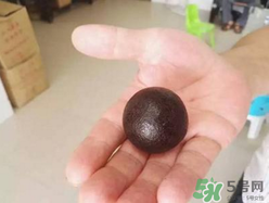 羊?qū)毷鞘裁?？羊?qū)殲槭裁催@么貴？