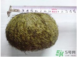 羊?qū)毷鞘裁矗垦驅(qū)殲槭裁催@么貴？