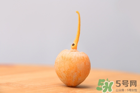 銀杏果能吃嗎?銀杏果有毒嗎