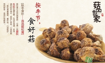 巴西蘑菇怎么吃？巴西蘑菇的作用與功效