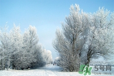 下雪穿什么鞋防滑效果最好？下雪天穿什么鞋子最防滑？