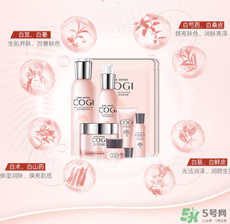 高姿大白水一套多少錢？高姿大白水多少錢一瓶？