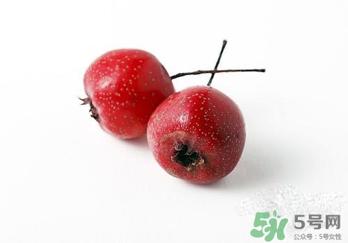 孕婦可以吃山楂嗎？孕婦吃山楂好嗎？