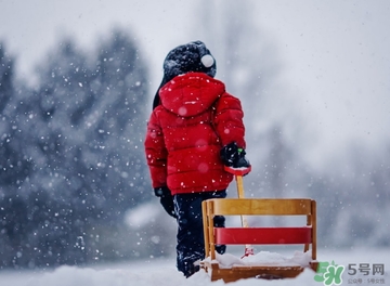 小雪喝什么茶？小雪茶品推薦