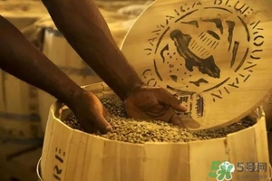 綠山咖啡和藍山咖啡有什么區(qū)別？