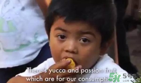 綠山咖啡和藍山咖啡有什么區(qū)別？