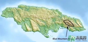 綠山咖啡和藍山咖啡有什么區(qū)別？