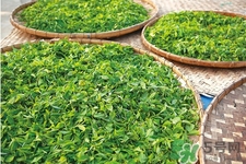 冬天喝什么茶能減肥？冬季九款茶暖胃又瘦身