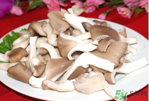 孕婦可以吃平菇嗎？孕婦吃平菇有什么好處？