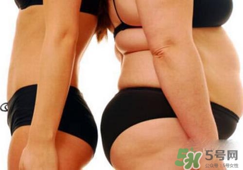 減肥反彈了還能再瘦下來嗎？減肥反彈后會不會難以再減了？