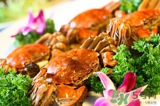 寶寶能吃螃蟹嗎？寶寶可以吃螃蟹肉嗎？